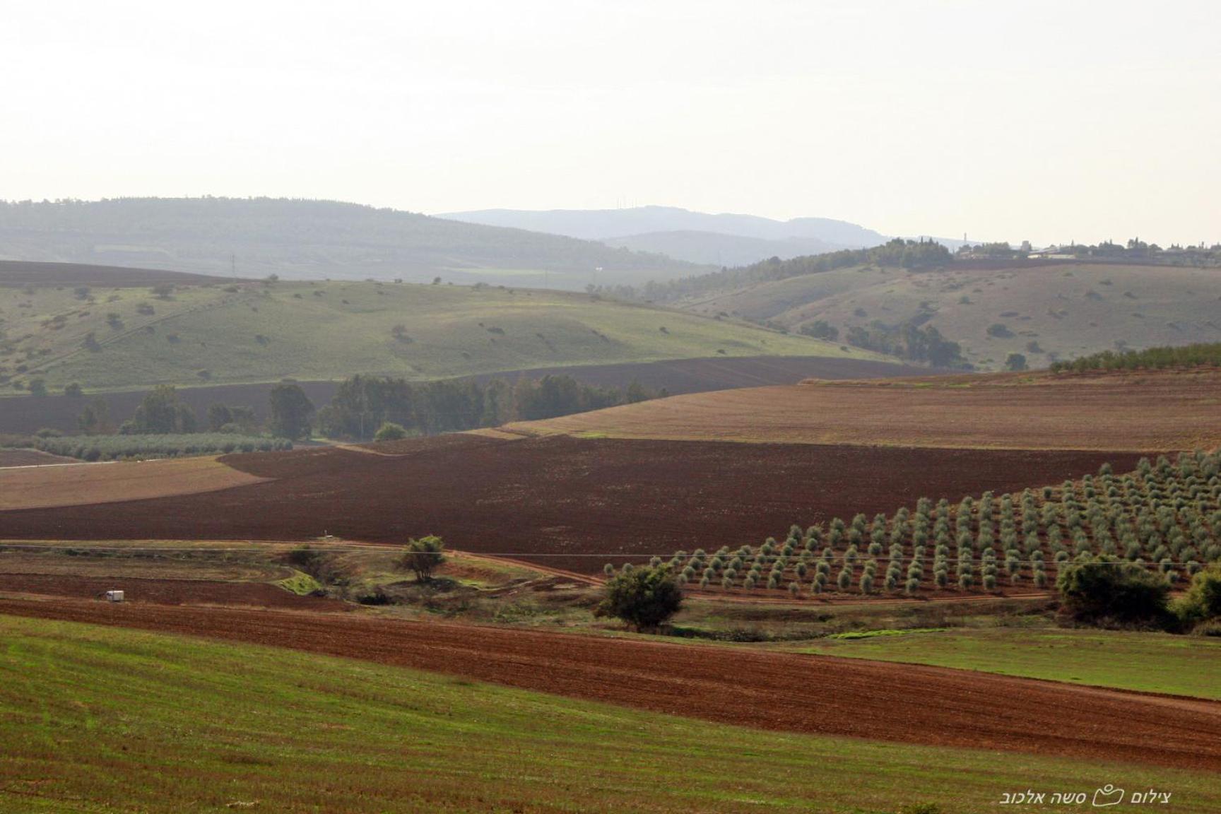 Noach Batavor Villa Kefar Kish Kültér fotó